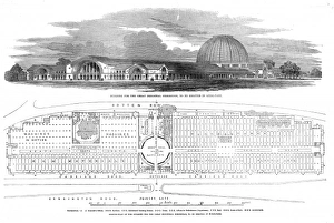 Plans for the Crystal Palace Plans for the Crystal Palace