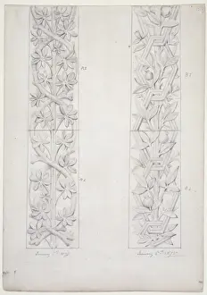 Waterhouse Prints: Plant design