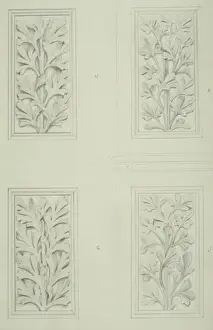 Waterhouse Prints: Plant design for museum architecture