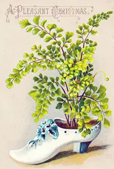 Plant growing in a shoe on a Christmas card