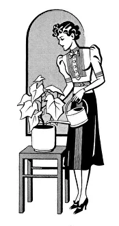 Watering Gallery: Plant watering