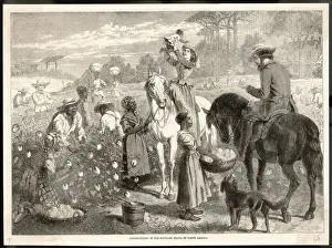 Happily Prints: ON A PLANTATION