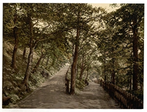 Exmouth Gallery: The Plantation, Exmouth, England