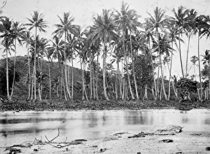 Melanesia Prints: Plantation. Ovalau Island, Fiji