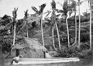 Commelinid Prints: Plantation scene, Levuka, Ovalau Island, Fiji