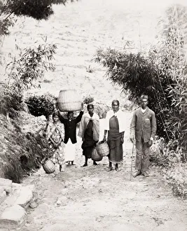 Plantation workers on an Indian tea estate