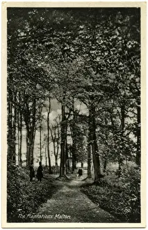 Derwent Prints: The Plantations, River Derwent, Malton, North Yorkshire
