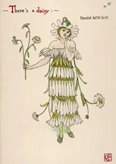 Plants / Bellis Perennis