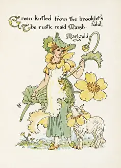 Plants / Caltha Palustris