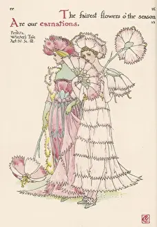 Plants / Dianthus