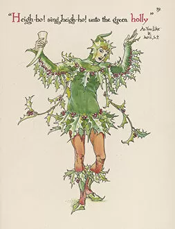 Aquifolium Gallery: Plants - Ilex Aquifolium