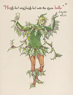 Plants / Ilex Aquifolium