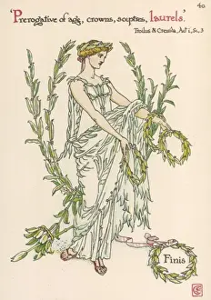 Plants / Laurus