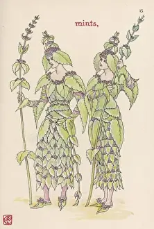 Plants / Mentha