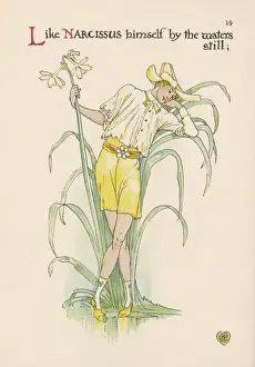 Plants / Narcissus