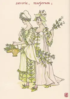 Savory Prints: Plants / Origanum Vulgaris