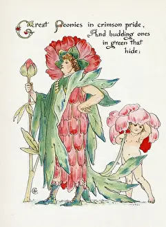 Paeonia Prints: Plants / Paeonia