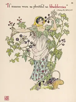 Plants / Rubus Fruticosus