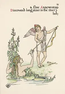 Plants / Sagittaria