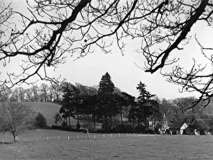 Plas Prints: Plas Meredith
