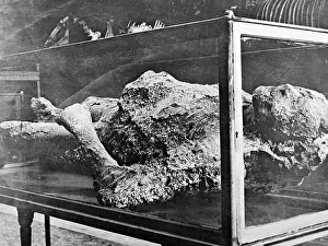 Plaster Prints: Plaster cast in Pompeii Museum, Pompeii, Italy