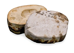 Mold Collection: Plaster mould recording the original shape of the Koh-i-Noor