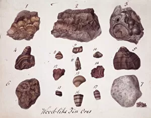 Mineral Gallery: Plate 1 from Specimens of British Minerals? vol. 1 by P. Ras