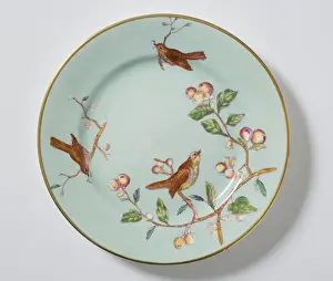 Side plate