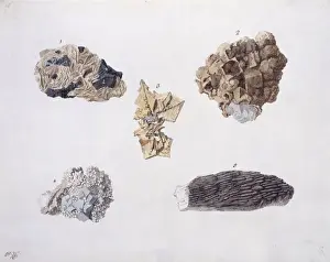 Rashleigh Prints: Plate 18 from Specimens of British Minerals? vol. 1 by P. Ra