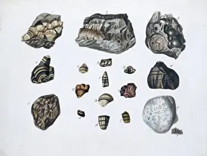 Plate 1a from Specimens of British Minerals? vol. 1 by P. Ra