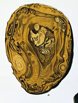 Polished Prints: Plate 3, fig 4 from Mineralienbuch
