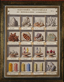 Aquamarine Gallery: Plate 3 from Histoire naturelle? (1789)