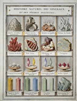 Aquamarine Gallery: Plate 3a from Histoire naturelle? (1789)