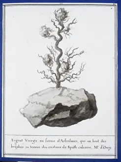 Plate 44 from Mineralogie