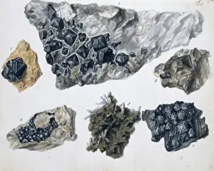 Rashleigh Prints: Plate 5 from Specimens of British Minerals? vol. 1 by P. Ras
