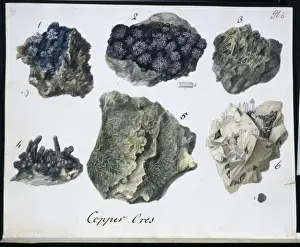 Rashleigh Prints: Plate 6 from Specimens of British Minerals? vol. 1 by P. Ras