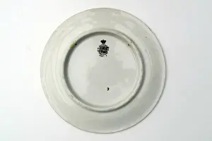 Plate - When the ell is it goin to be strawberry