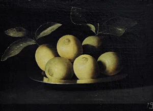 Lemon Collection: Plate with lemons, ca.1640, by Juan de Zurbaran (1620-1659)