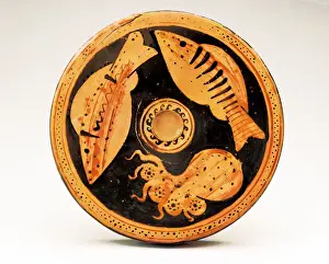 Octopus Prints: Plate with Octopus