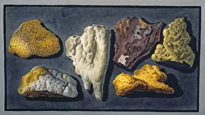 Other Prints: Plate XXXXIV: Lava Samples