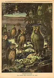 Owls Prints: PLAY/ROSTAND/CHANTECLER