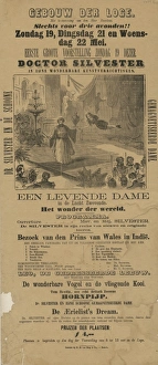 Playbill - magician Doctor Silvester and the levitating lady Playbill - magician Doctor Silvester and the levitating lady