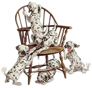 Weave Prints: Playful Dalmatian Pups Date: 1950