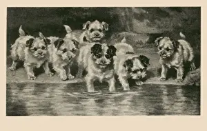 Playful Prints: Playful Puppies