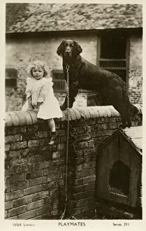 Images Dated 16th April 2020: Playmates - Toddler and Pet Dog sit / stand on a wall