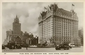 Fifth Avenue, New York, USA