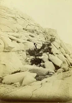 Cooke Prints: Pleistocene geological feature, Malta