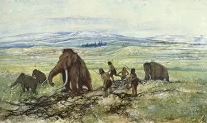 Elephantidae Collection: Pleistocene hunters