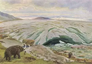 Pleistocene L scape