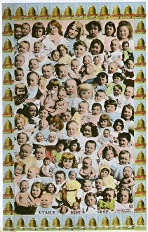 Boom Gallery: Plentiful crop of Babies - Utah, United States